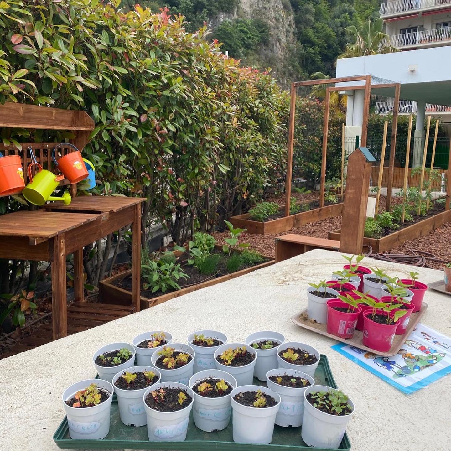 Early Years School inaugurates organic garden Image