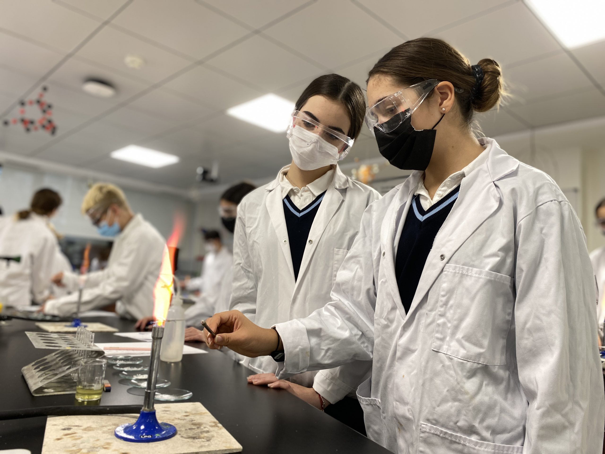 IGCSE Chemistry students conduct flame testing Image